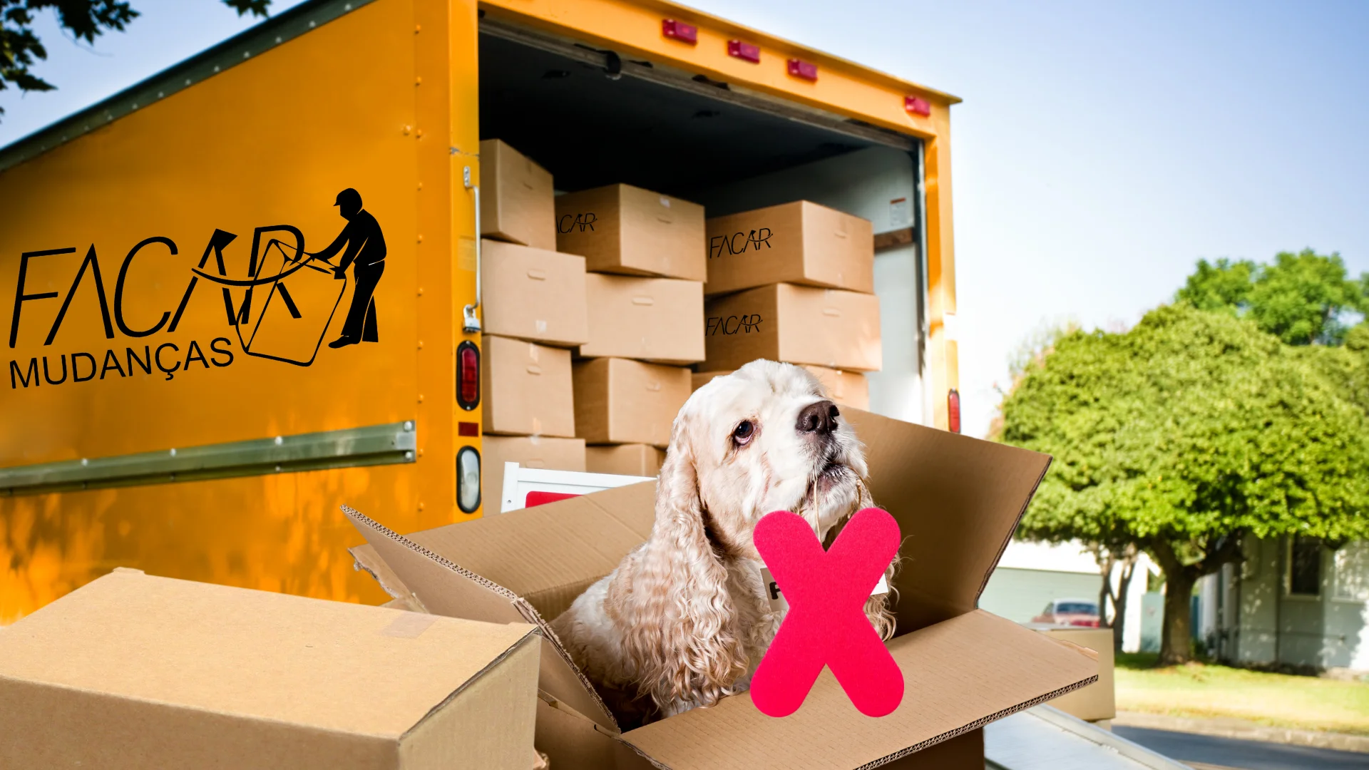 Veja 4 Coisas que Não Transportamos na Mudança e Por Quê?